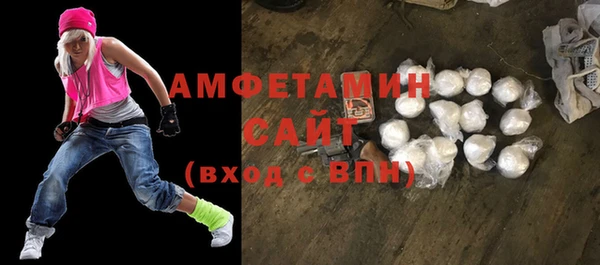 индика Абаза