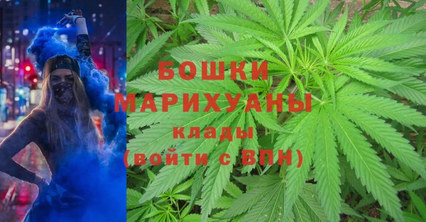 индика Абаза