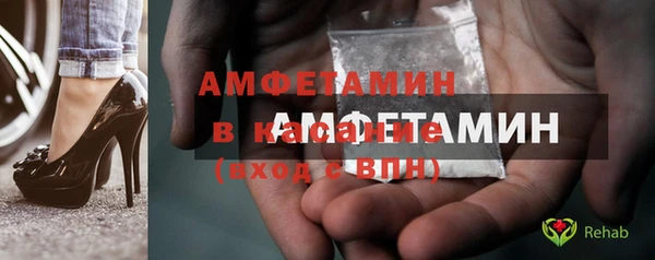 индика Абаза