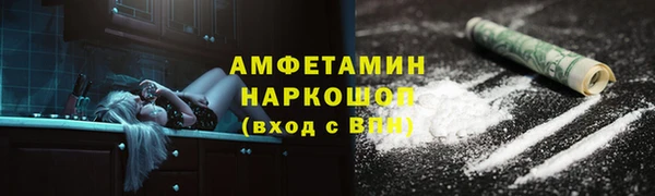 индика Абаза