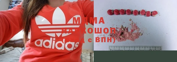 индика Абаза