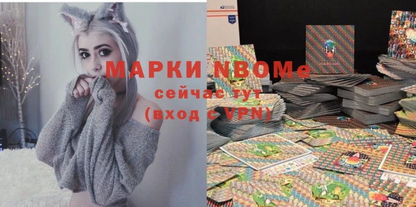 индика Абаза