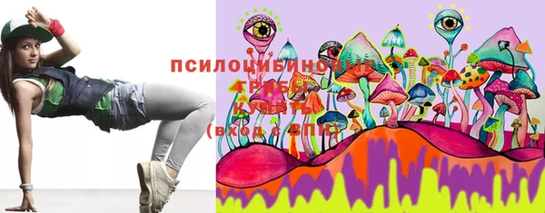 индика Абаза