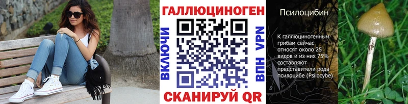 Псилоцибиновые грибы Psilocybe  даркнет сайт  Кимовск 
